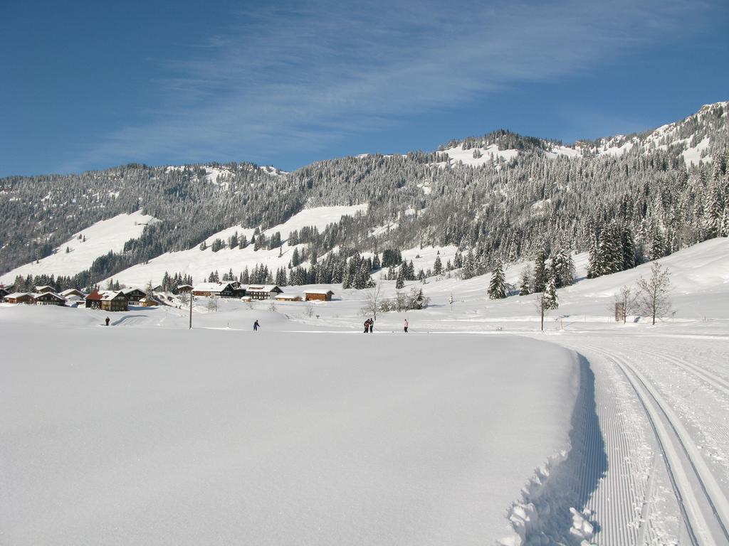 Alpenroesle Apartment Balderschwang Luaran gambar